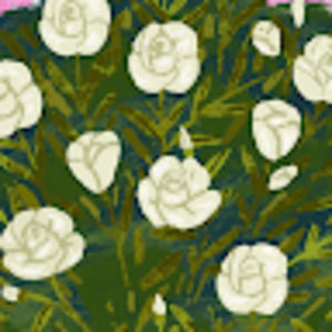 Meet your Posher, Mary